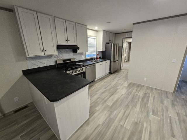 106 Bardin Dr in Mankato, MN - Building Photo - Building Photo