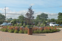 Mayfair Gardens in Commack, NY - Building Photo - Building Photo