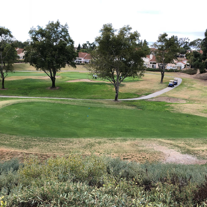 1133 Cordoba Way in Vista, CA - Building Photo