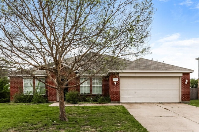 property at 2100 Aster Trail