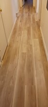 14933 W Caribbean Ln in Surprise, AZ - Building Photo - Building Photo