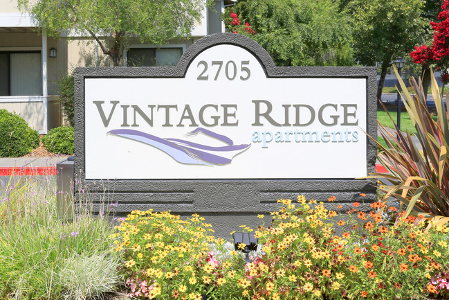 Vintage Ridge Apartment Homes in Santa Rosa, CA - Building Photo - Other