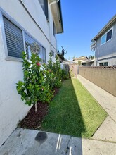 2117 Locust Ave in Long Beach, CA - Building Photo - Building Photo