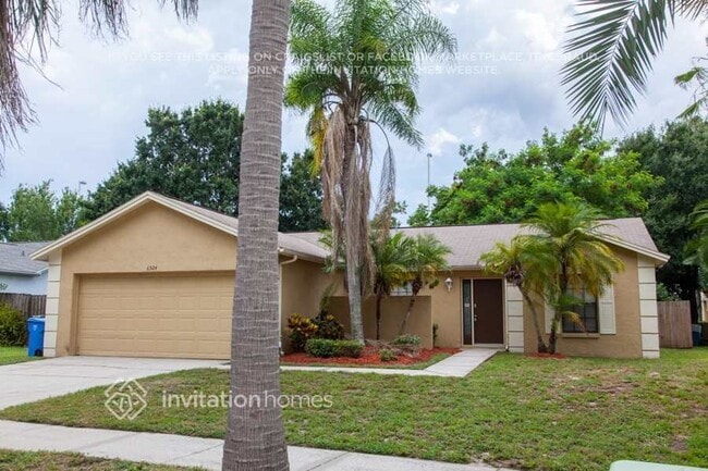 6524 Seafairer Dr in Tampa, FL - Foto de edificio - Building Photo