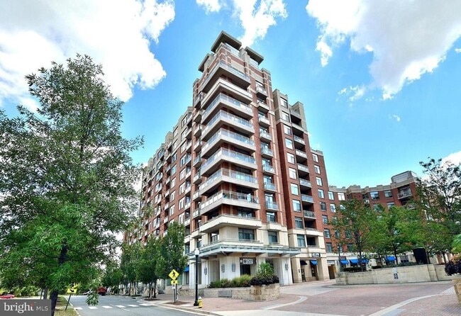 3650 S Glebe Rd in Arlington, VA - Building Photo - Building Photo