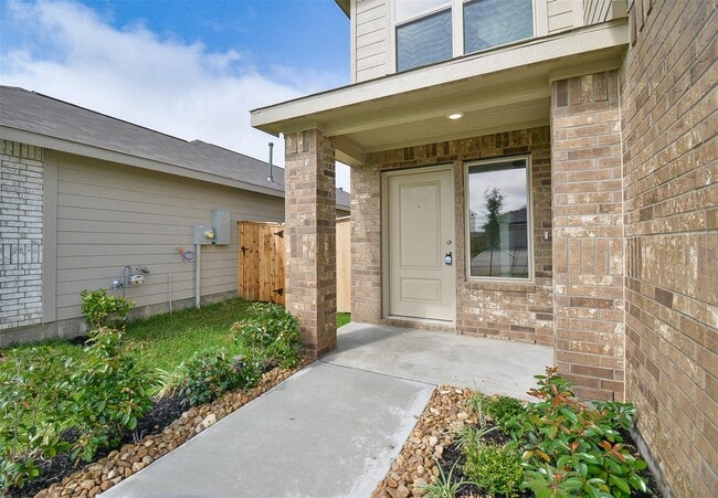 18546 Cepagatti Dr in New Caney, TX - Building Photo - Building Photo