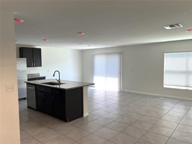 12068 Downy Birch Dr in Riverview, FL - Foto de edificio - Building Photo
