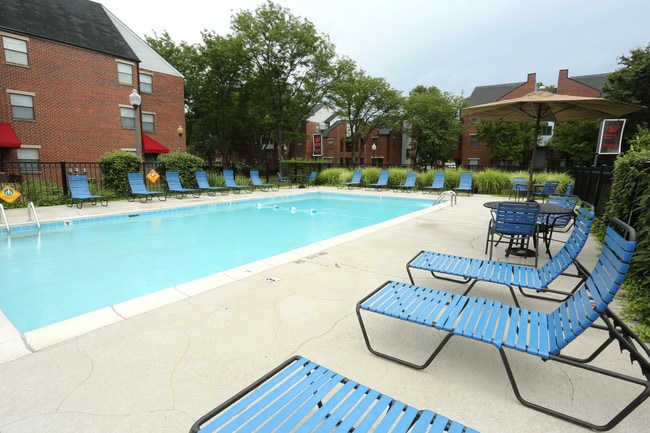 Elevate at NULU Apartment Homes