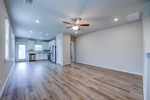 502 Fiery Skipper Dr in Pflugerville, TX - Building Photo