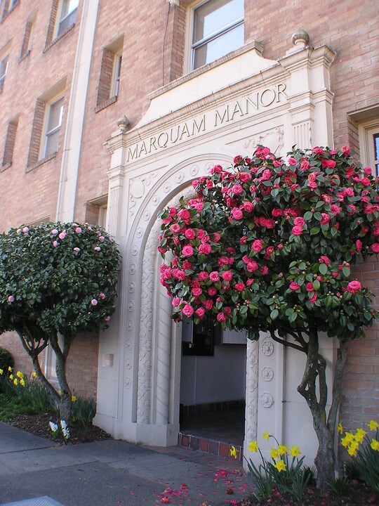 MARQUAM MANOR APARTMENTS (MCM03) in Portland, OR - Building Photo