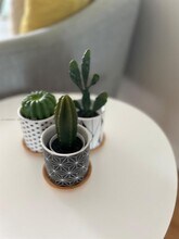 5880 Collins Ave in Miami Beach, FL - Foto de edificio - Building Photo