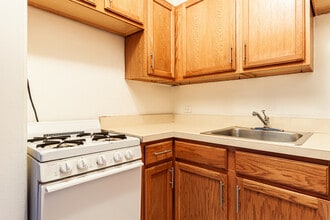 1154 N Dearborn St, Unit 304 in Chicago, IL - Building Photo - Building Photo