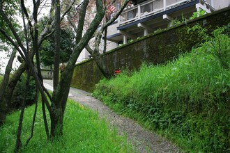 4 Greenfield Ct in San Anselmo, CA - Foto de edificio - Building Photo