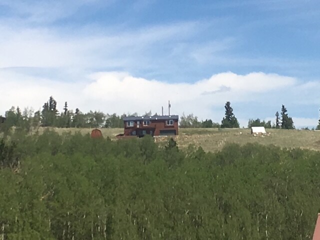 470 Sheep Ridge Rd in Fairplay, CO - Building Photo - Building Photo