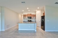 5005 White Chicory Dr in Ruskin, FL - Building Photo - Building Photo