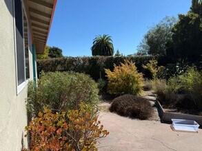 127 Baldwin St in Santa Cruz, CA - Building Photo - Building Photo