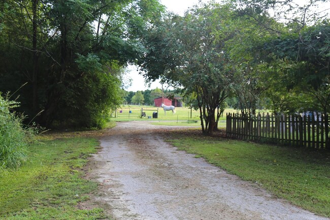 299 Brogden School Rd in Smithfield, NC - Building Photo - Other