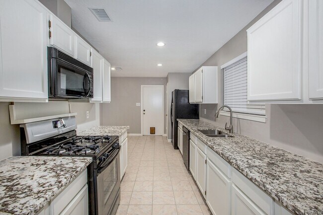17002 Sky Blue Pl in Houston, TX - Building Photo - Building Photo
