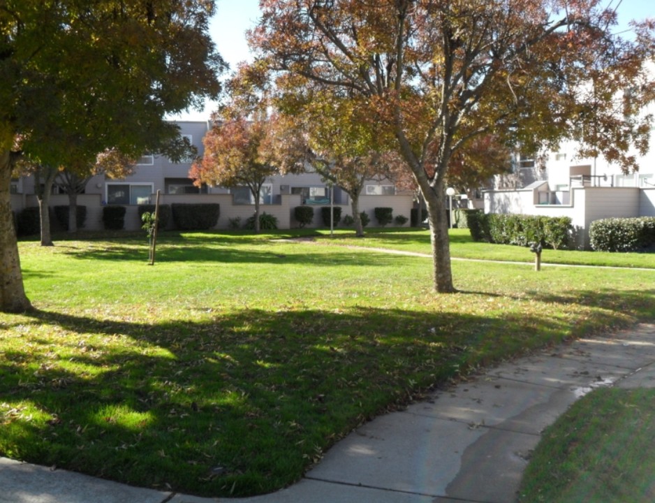 Heron Court in Redwood City, CA - Building Photo