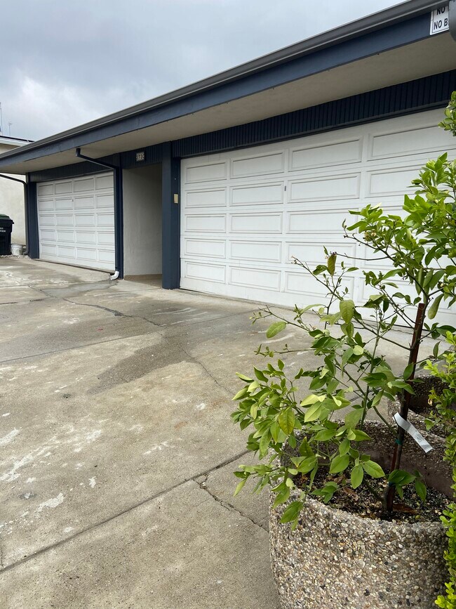 3730 Bluff Pl in San Pedro, CA - Building Photo - Building Photo