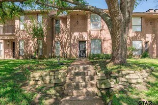 5825 Hollytree Dr in Tyler, TX - Building Photo