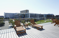 American Tobacco Apartments (Old Bull/Noell) in Durham, NC - Building Photo - Other