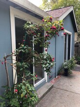 39 Locust Ave in Larkspur, CA - Building Photo - Building Photo