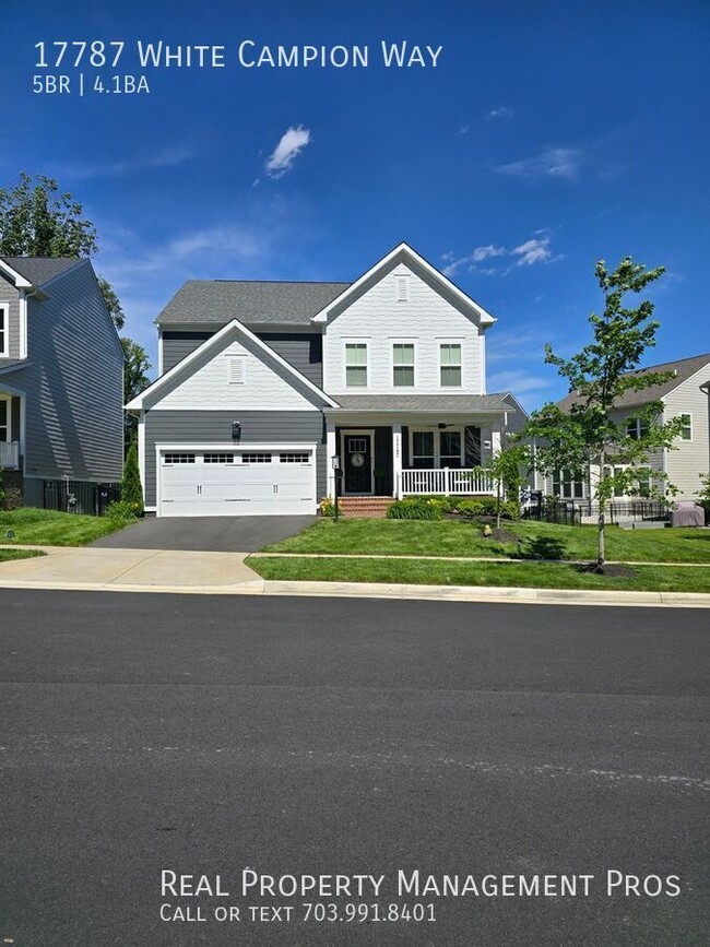17787 White Campion Wy in Dumfries, VA - Building Photo - Building Photo
