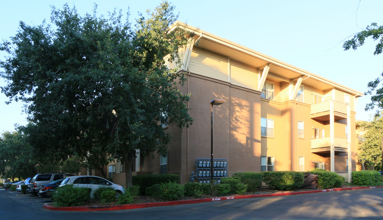 Primero Grove Student Apartments in Davis, CA - Building Photo