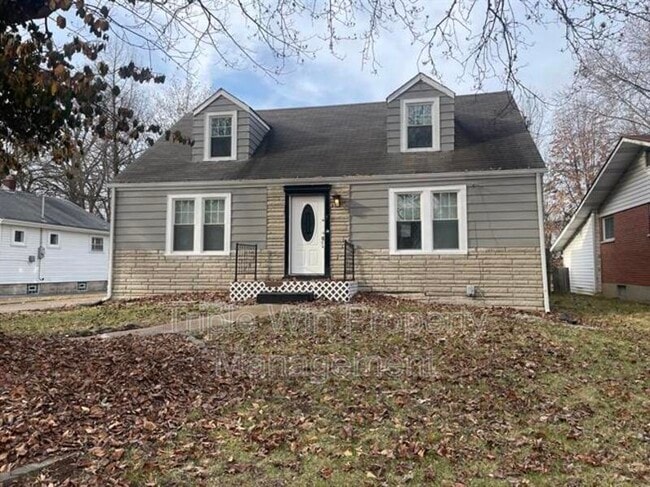 19 S Schlueter Ave in St. Louis, MO - Building Photo - Building Photo