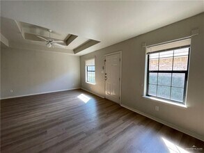 15 Dora Jeanne Dr in Palmview, TX - Building Photo - Building Photo