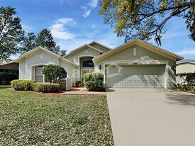 1249 Starry Night St in Wesley Chapel, FL - Building Photo