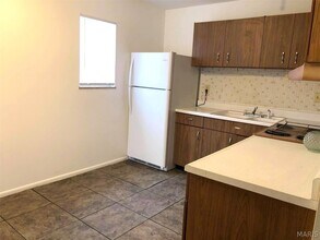 229 S Church St in Belleville, IL - Building Photo - Building Photo