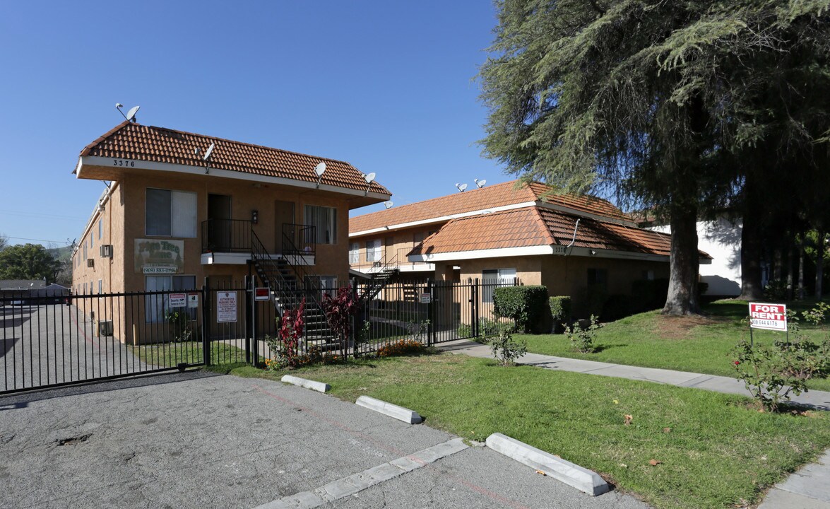 Pine Tree Lane Apartments in San Bernardino, CA - Foto de edificio