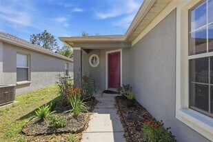 1508 Marsh Wood Dr in Seffner, FL - Building Photo