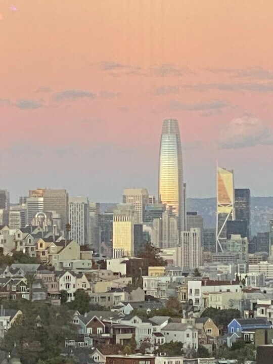 4319 Cesar Chavez St in San Francisco, CA - Building Photo