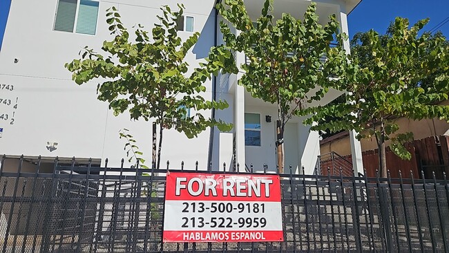 3743 Lanfranco St in Los Angeles, CA - Building Photo - Building Photo