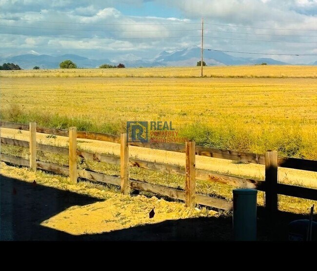 1361 Loraine Cir N in Lafayette, CO - Building Photo - Building Photo