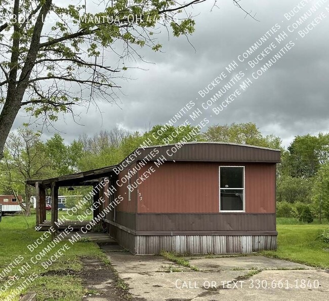 3218 OH-82 in Mantua, OH - Building Photo - Building Photo