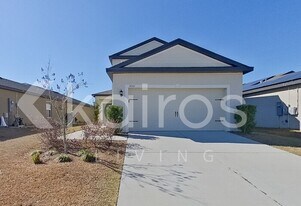 30161 Fedora Cir in Brooksville, FL - Building Photo