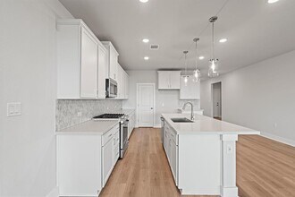 1520 Carvin Wy in Pflugerville, TX - Building Photo - Building Photo