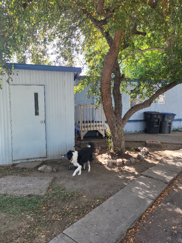 10 9th Ave in Longmont, CO - Building Photo - Building Photo