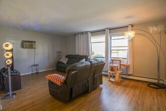 9020 Lamon Ave in Skokie, IL - Building Photo - Building Photo