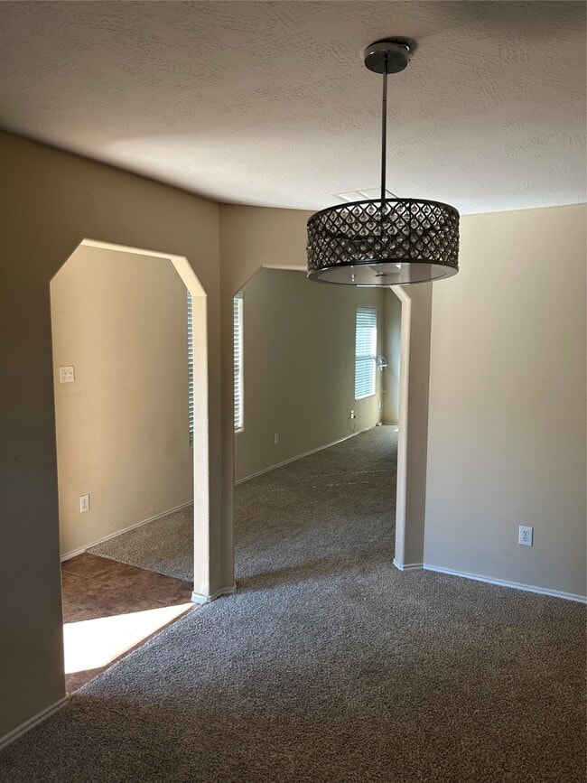 16939 Suffolk Bridge Ln