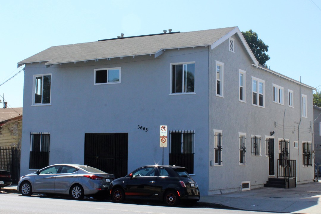 3665 S Normandie Ave in Los Angeles, CA - Building Photo