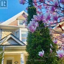21 Wroxeter Ave in Toronto, ON - Building Photo - Building Photo