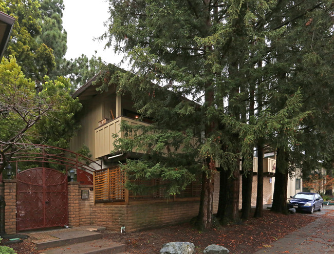 Loma Vista in Mountain View, CA - Foto de edificio - Building Photo