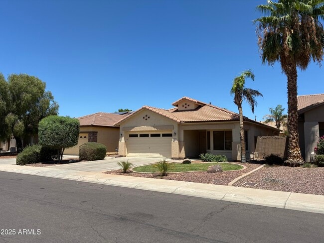 12542 W Honeysuckle St in Litchfield Park, AZ - Building Photo - Building Photo