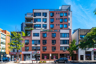 The Atlantic in Brooklyn, NY - Foto de edificio - Building Photo