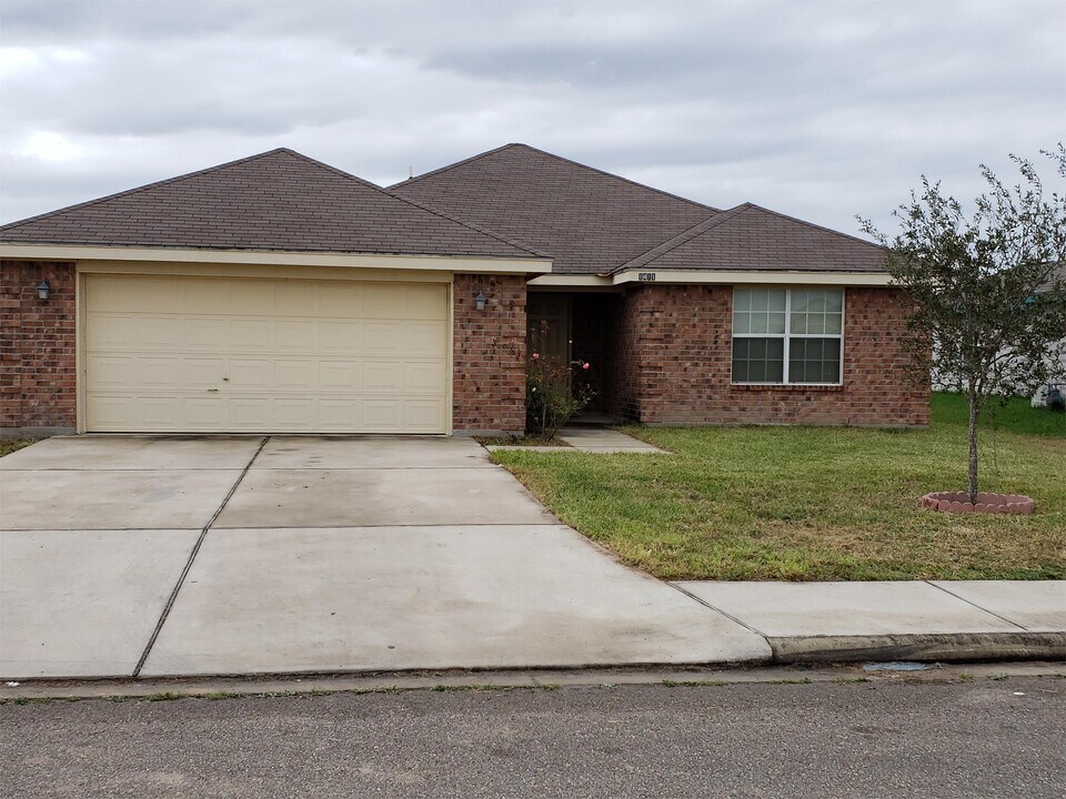 1411 Tierra Del Sol Ave in Alamo, TX - Building Photo